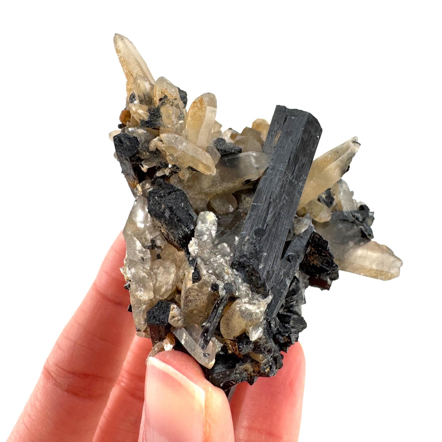 Smoky Quartz on Black Tourmaline | schorl crystal cluster, mineral specimen from Namibia