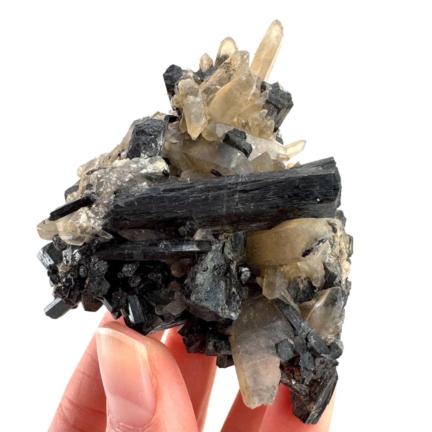 Smoky Quartz on Black Tourmaline | schorl crystal cluster, mineral specimen from Namibia