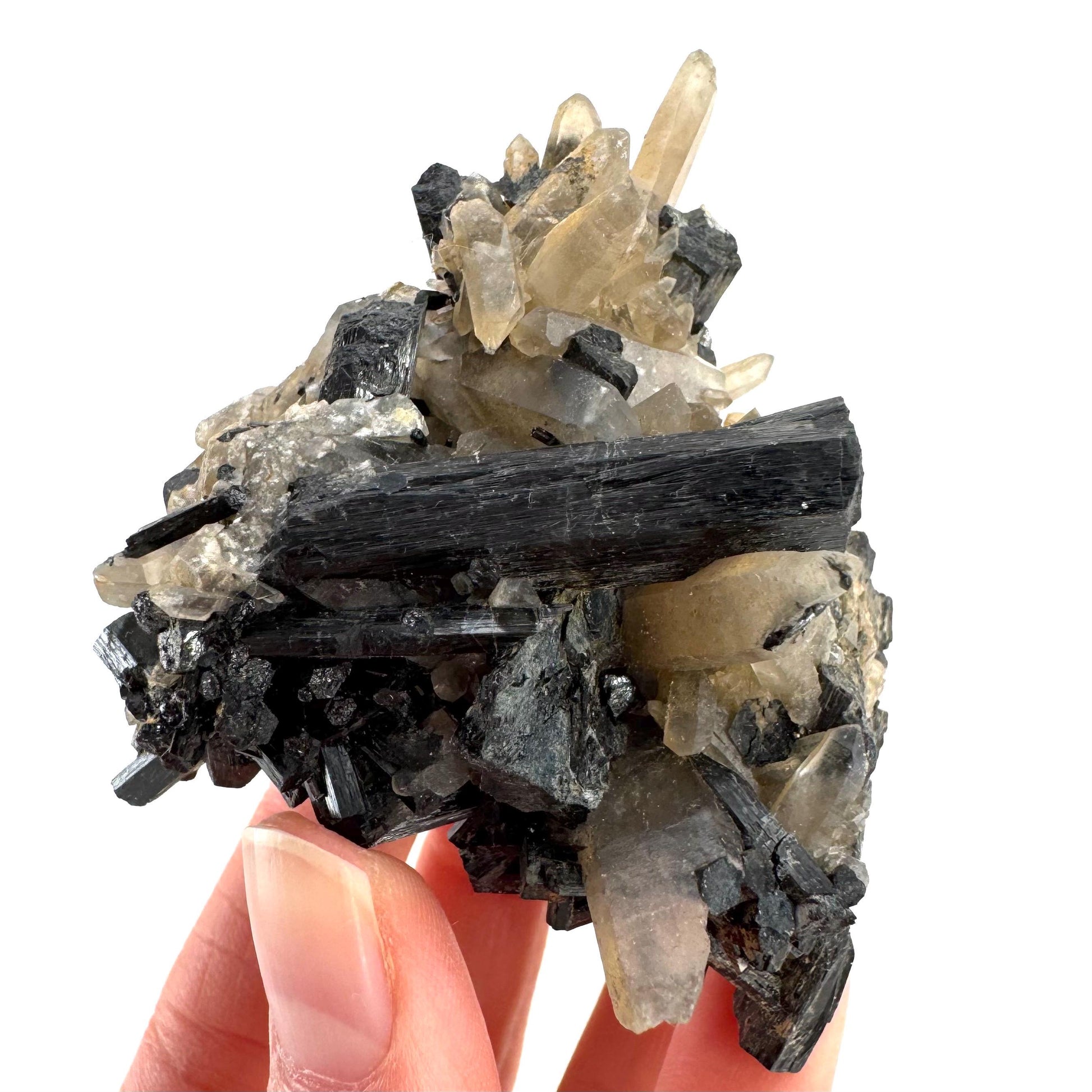 Smoky Quartz on Black Tourmaline | schorl crystal cluster, mineral specimen from Namibia