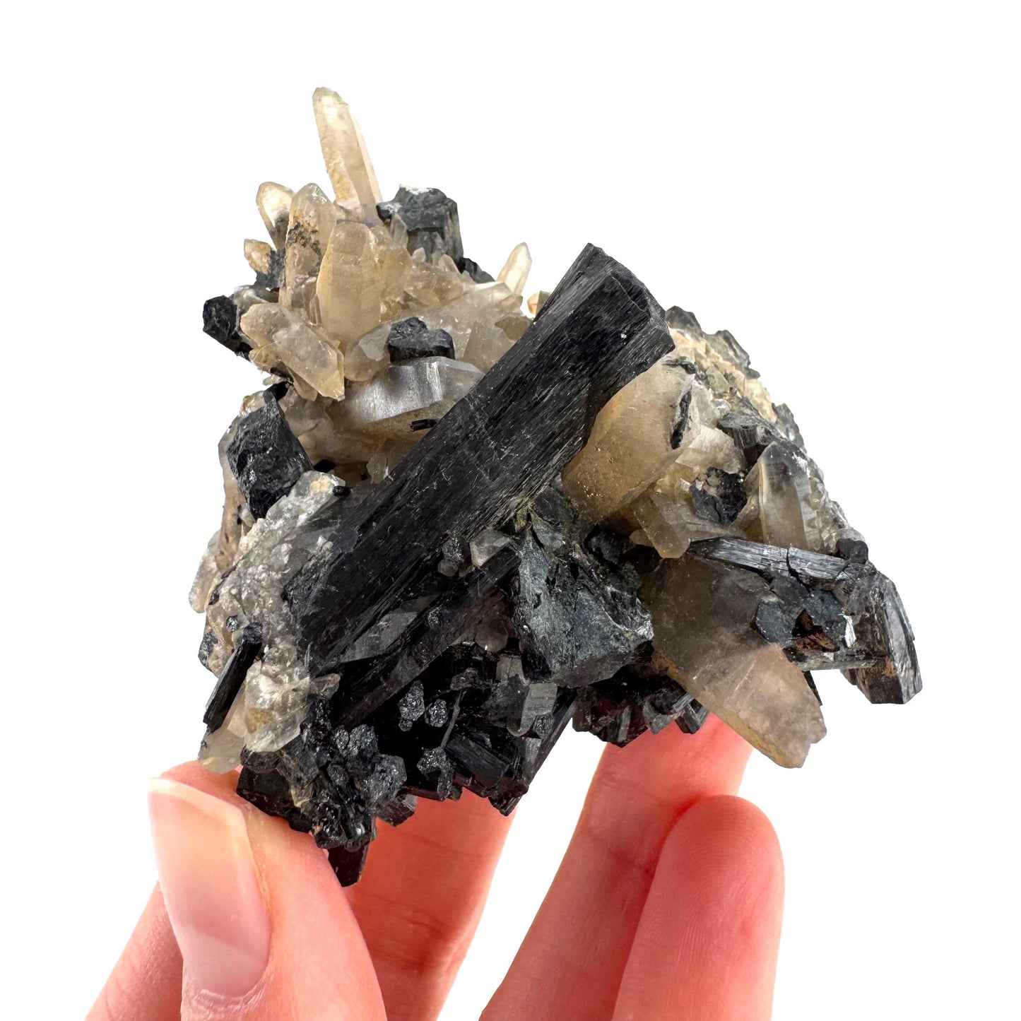 Smoky Quartz on Black Tourmaline | schorl crystal cluster, mineral specimen from Namibia