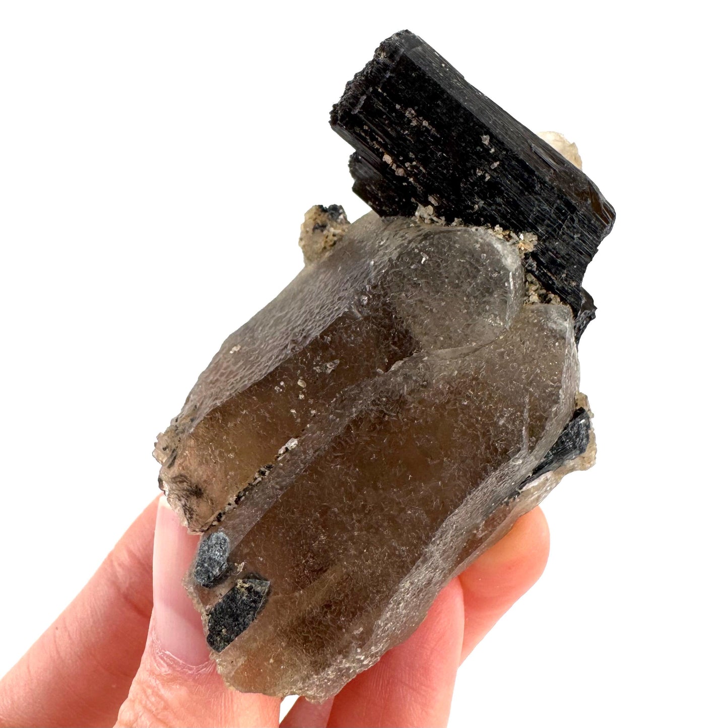 Black Tourmaline on Smoky Quartz | schorl crystal cluster, mineral specimen from Namibia