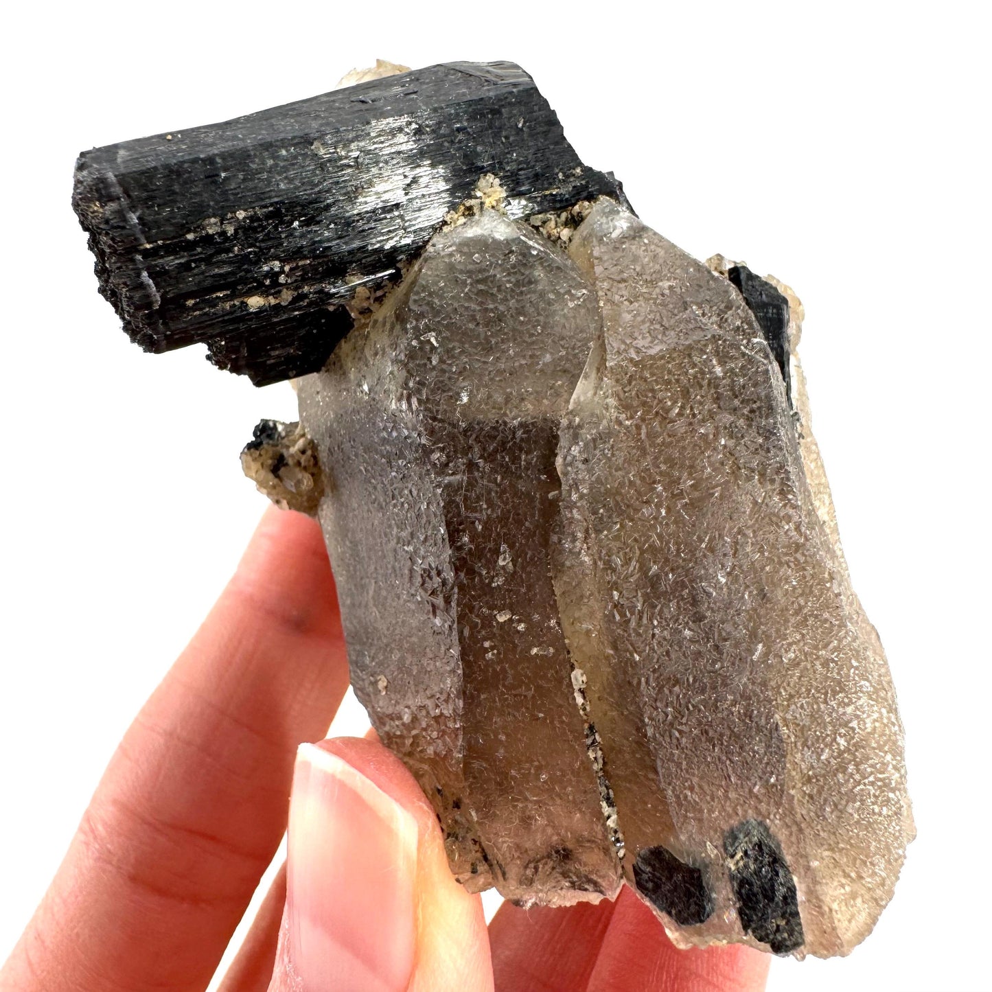 Black Tourmaline on Smoky Quartz | schorl crystal cluster, mineral specimen from Namibia