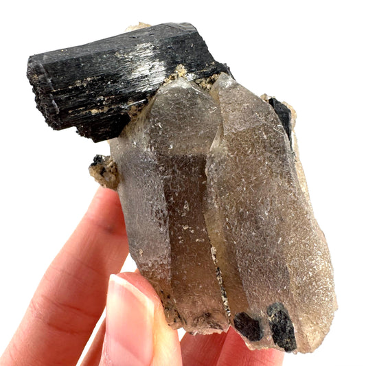 Black Tourmaline on Smoky Quartz | schorl crystal cluster, mineral specimen from Namibia