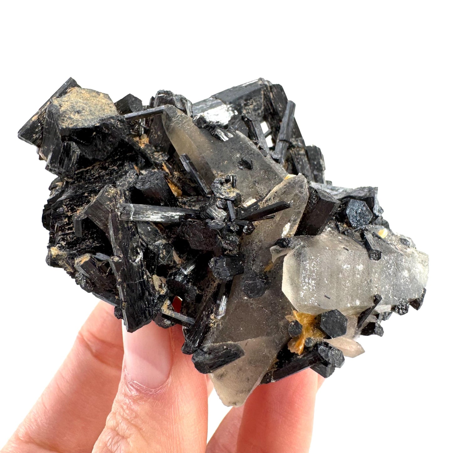 Smoky Quartz on Black Tourmaline | schorl crystal cluster, mineral specimen from Namibia
