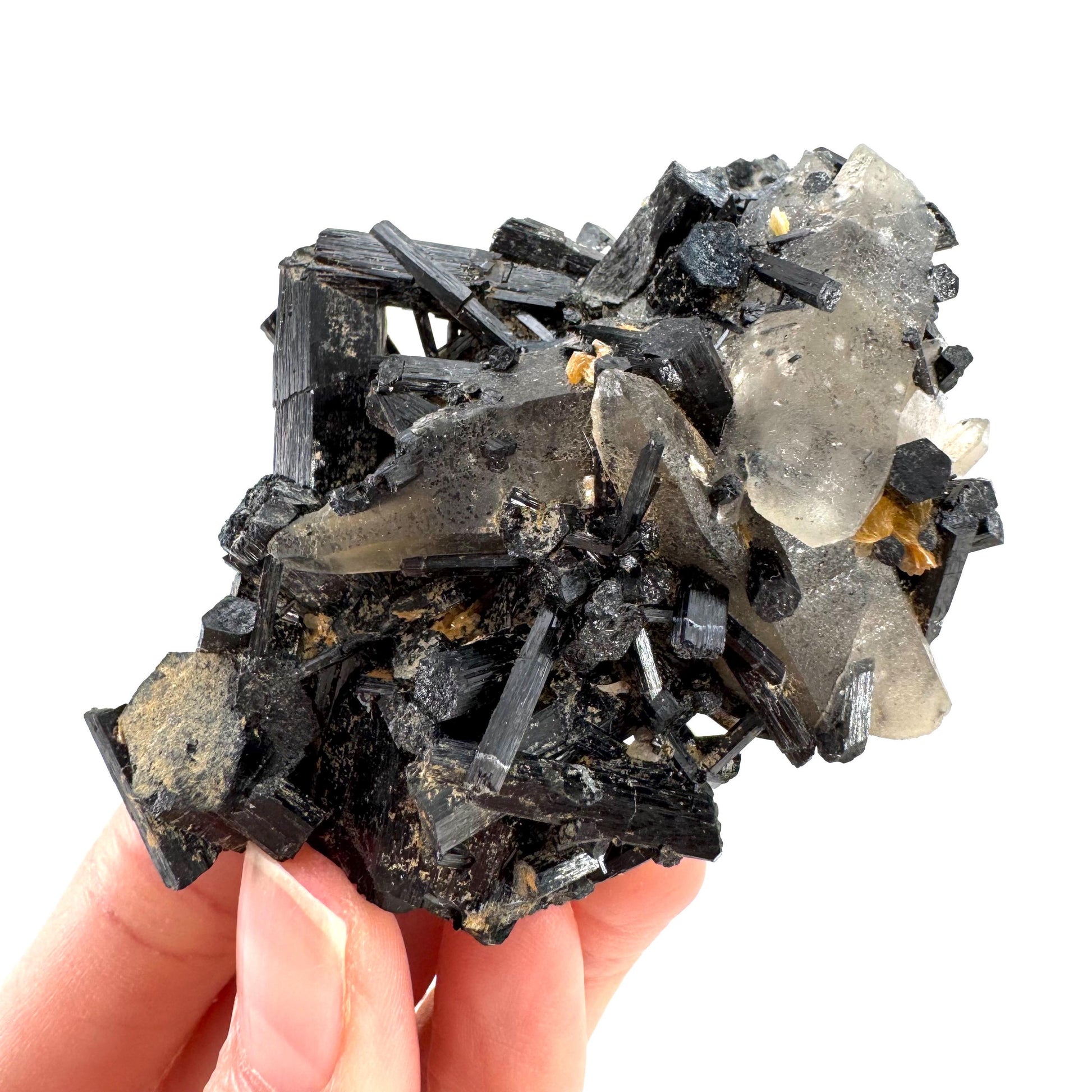 Smoky Quartz on Black Tourmaline | schorl crystal cluster, mineral specimen from Namibia