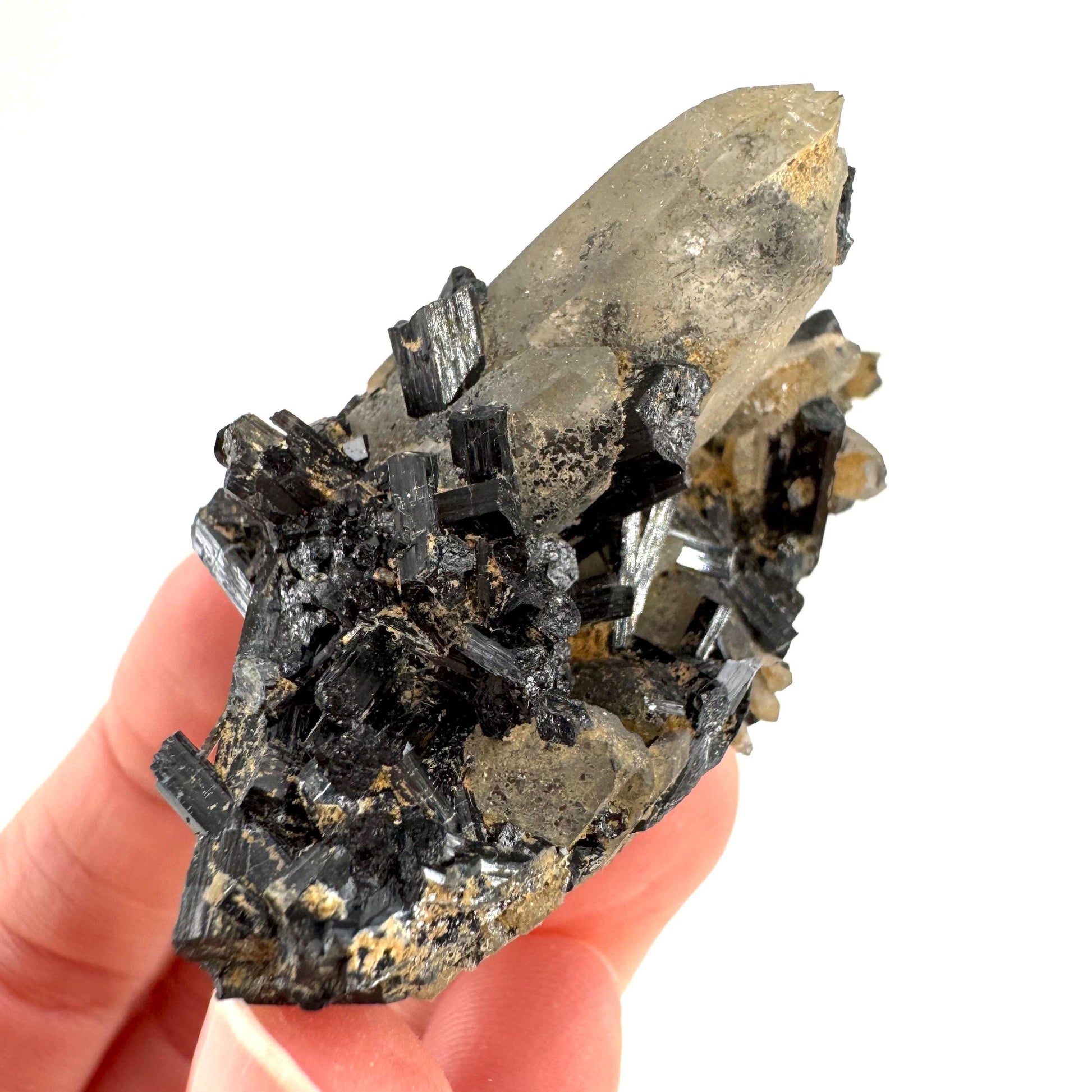 Smoky Quartz on Black Tourmaline | schorl crystal cluster, mineral specimen from Namibia