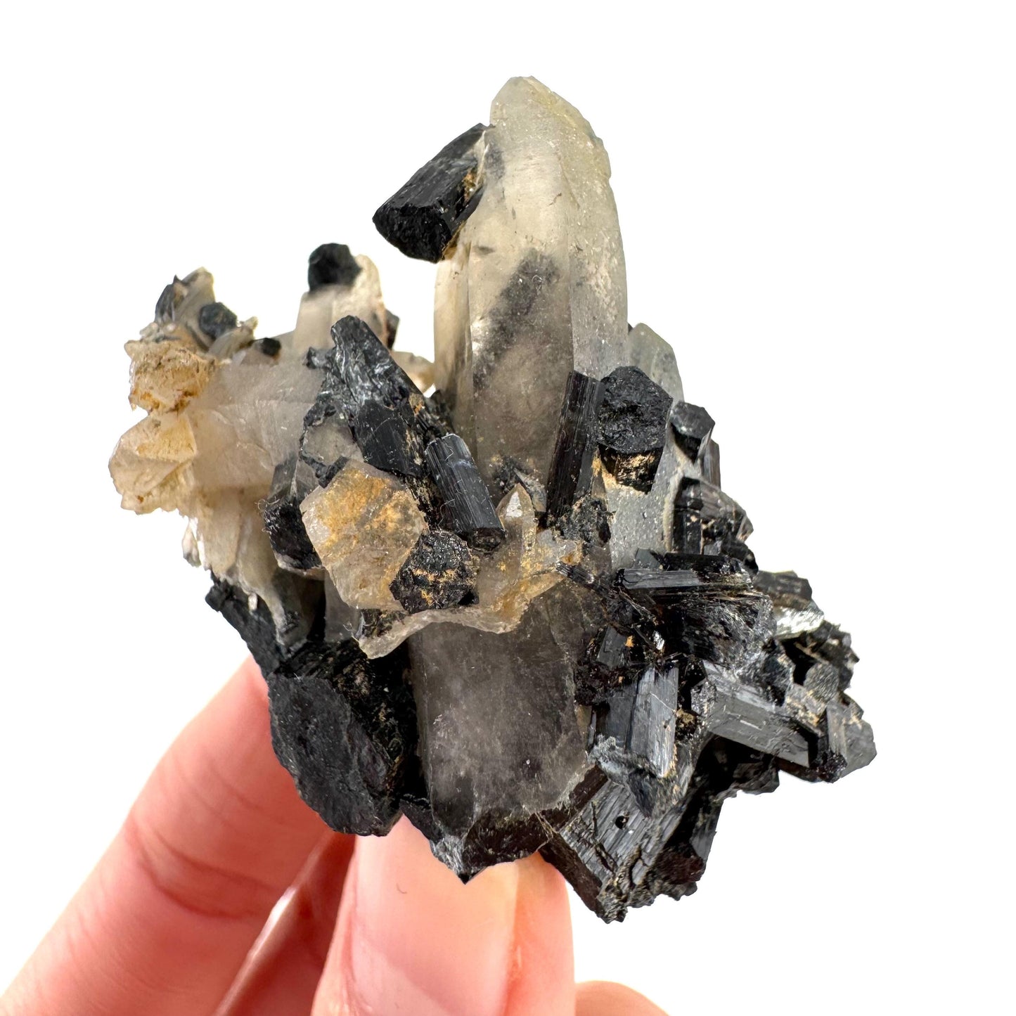 Smoky Quartz on Black Tourmaline | schorl crystal cluster, mineral specimen from Namibia