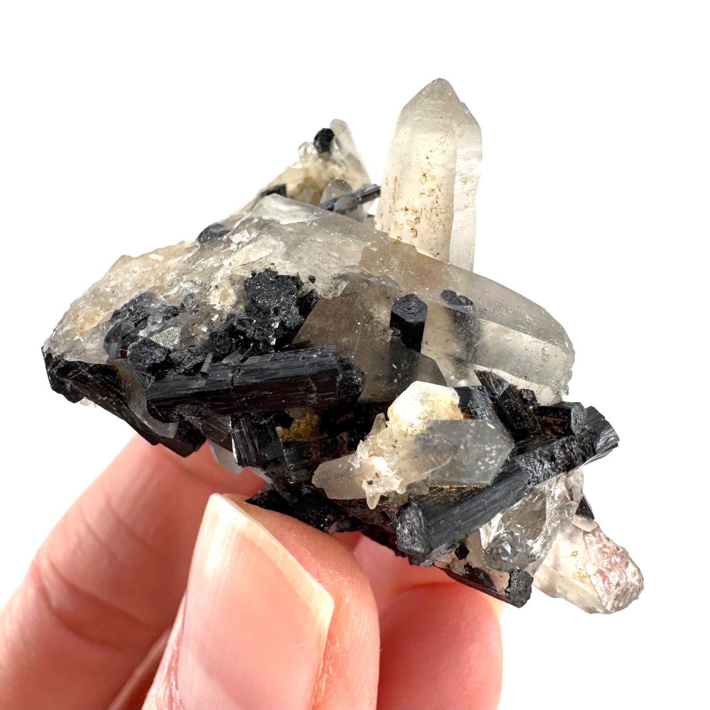 Smoky Quartz on Black Tourmaline | schorl crystal cluster, mineral specimen from Namibia