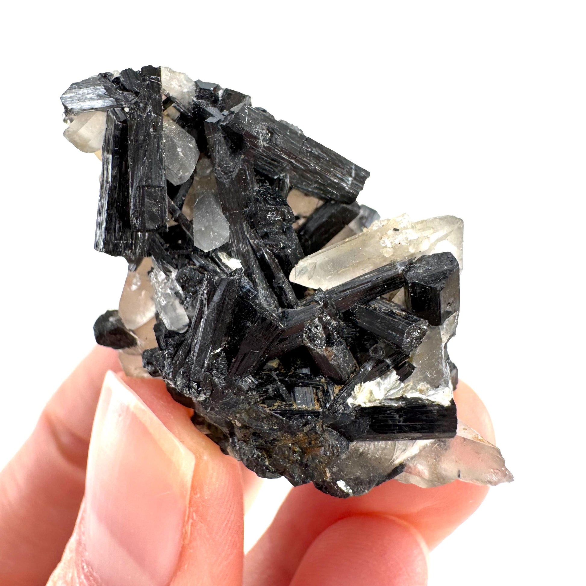 Smoky Quartz on Black Tourmaline | schorl crystal cluster, mineral specimen from Namibia