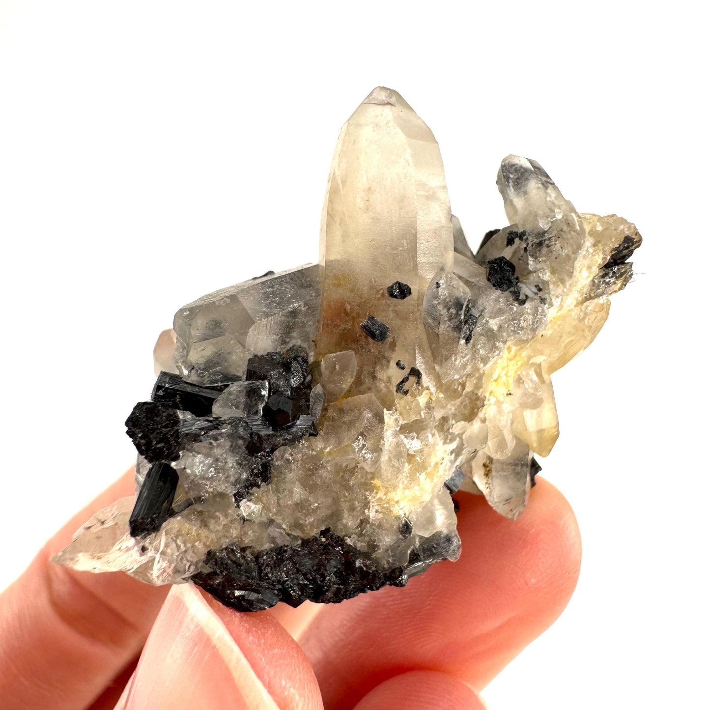 Smoky Quartz on Black Tourmaline | schorl crystal cluster, mineral specimen from Namibia