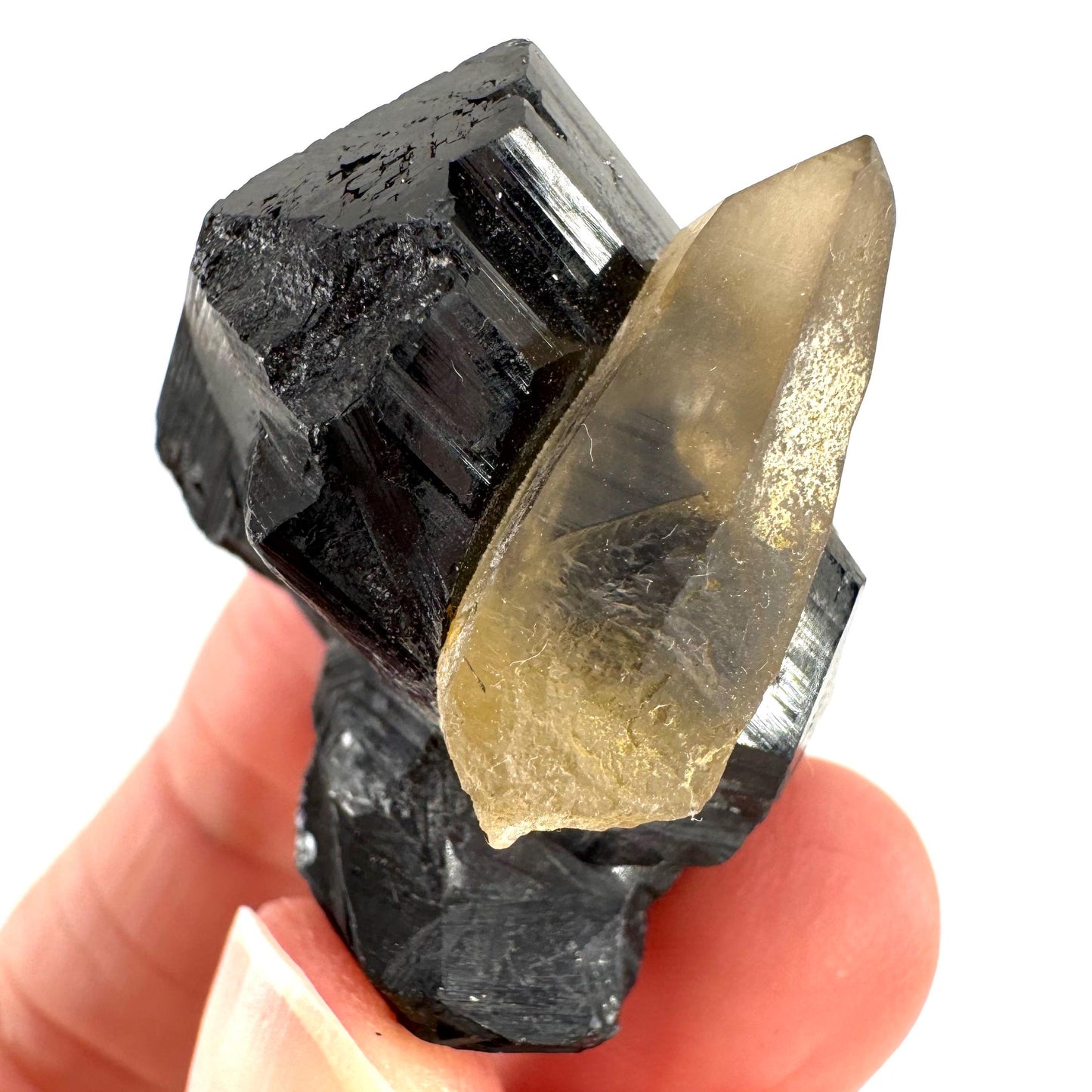 Smoky Quartz on Black Tourmaline | schorl crystal cluster, mineral specimen from Namibia