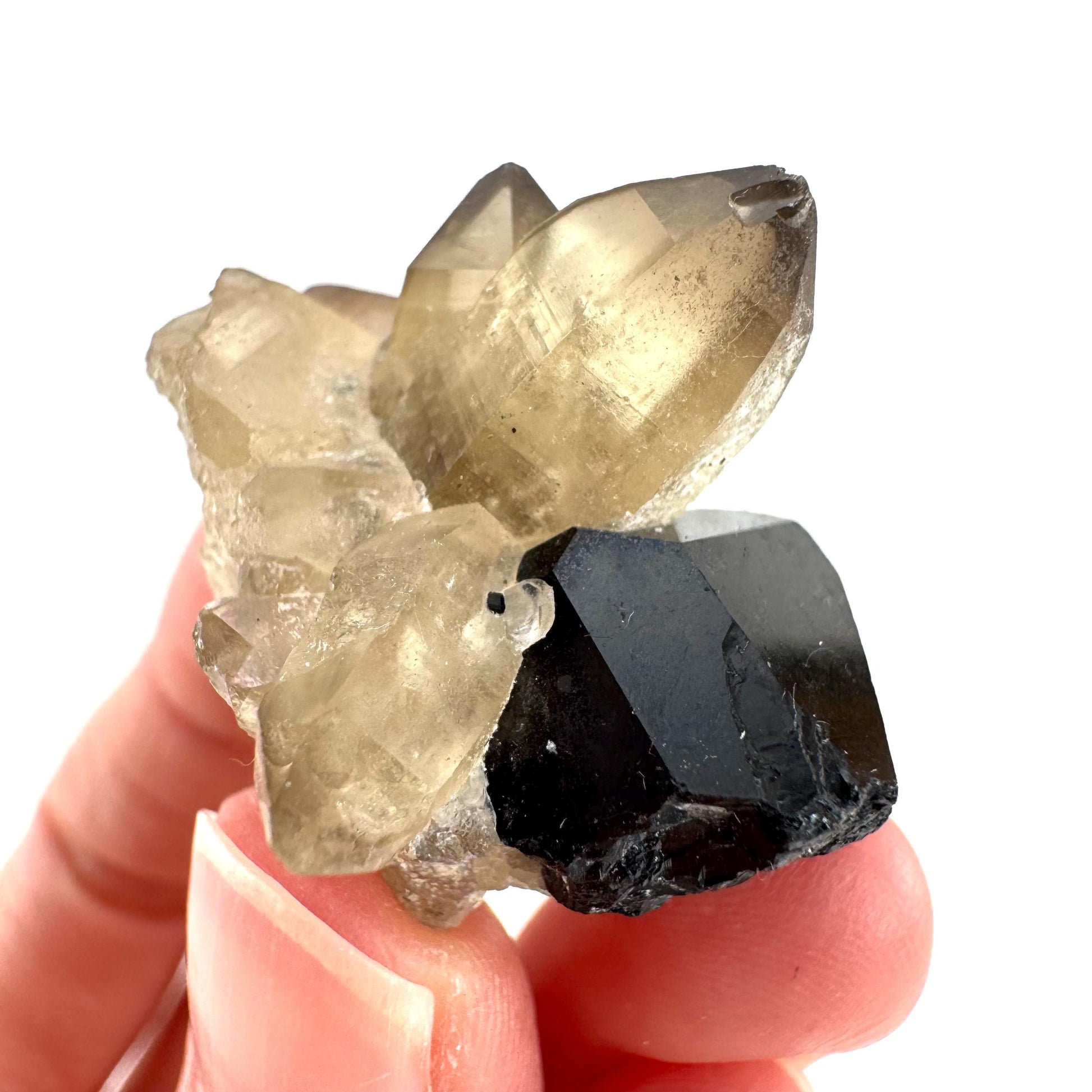 Black Tourmaline on Smoky Quartz | schorl crystal cluster, mineral specimen from Namibia