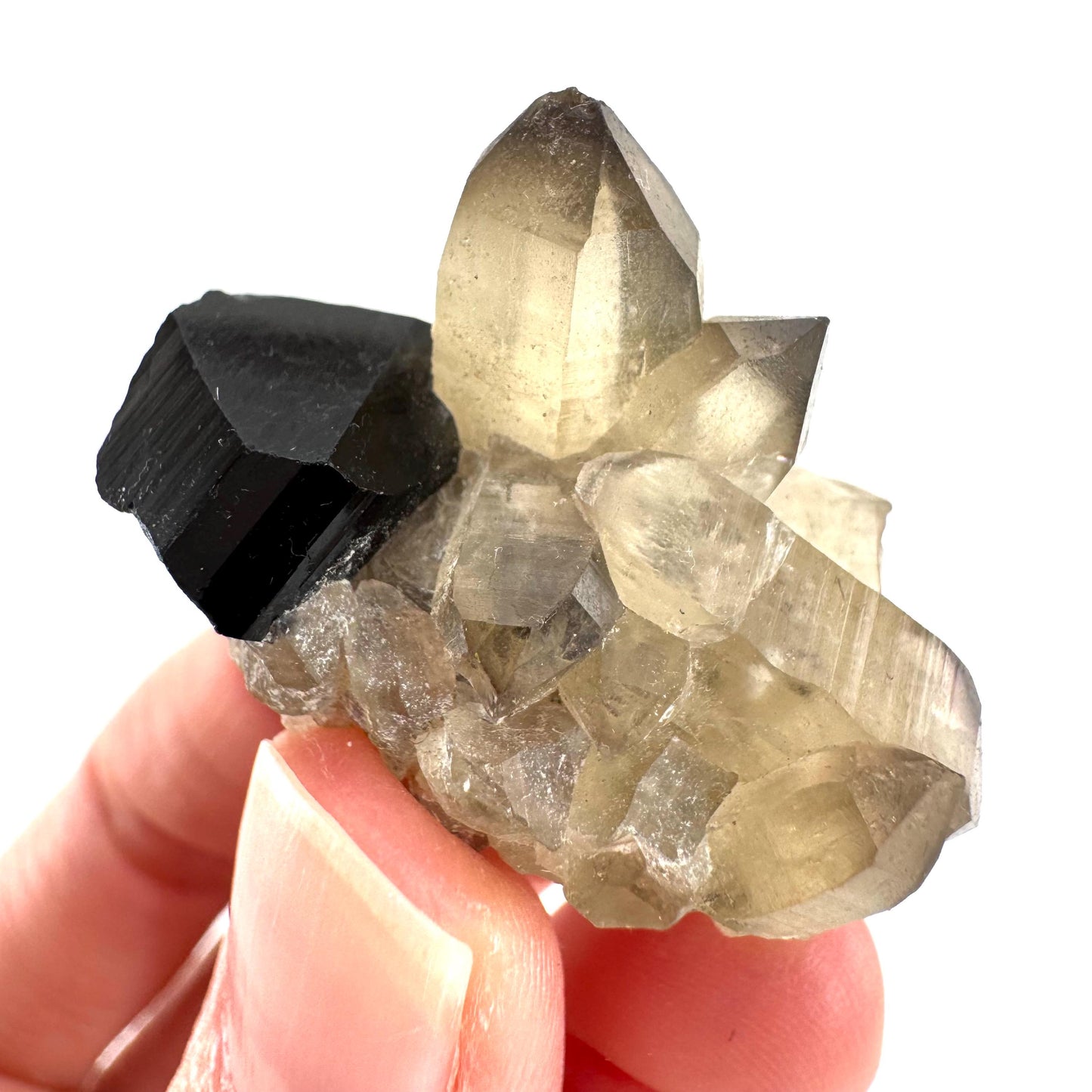 Black Tourmaline on Smoky Quartz | schorl crystal cluster, mineral specimen from Namibia