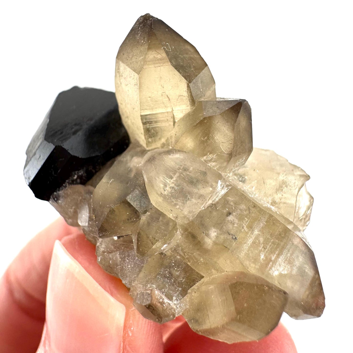 Black Tourmaline on Smoky Quartz | schorl crystal cluster, mineral specimen from Namibia
