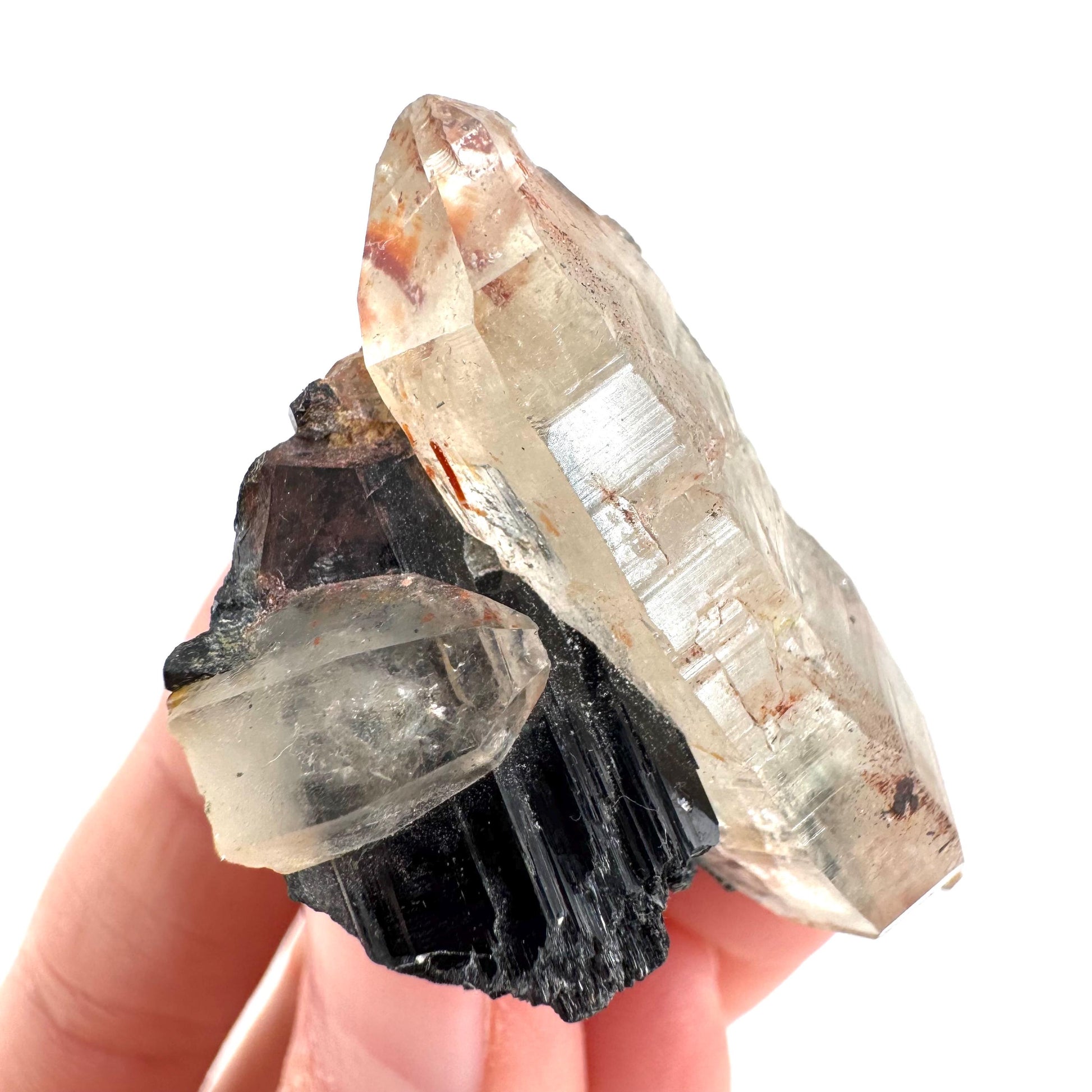 Smoky Quartz on Black Tourmaline | schorl crystal cluster, mineral specimen from Namibia