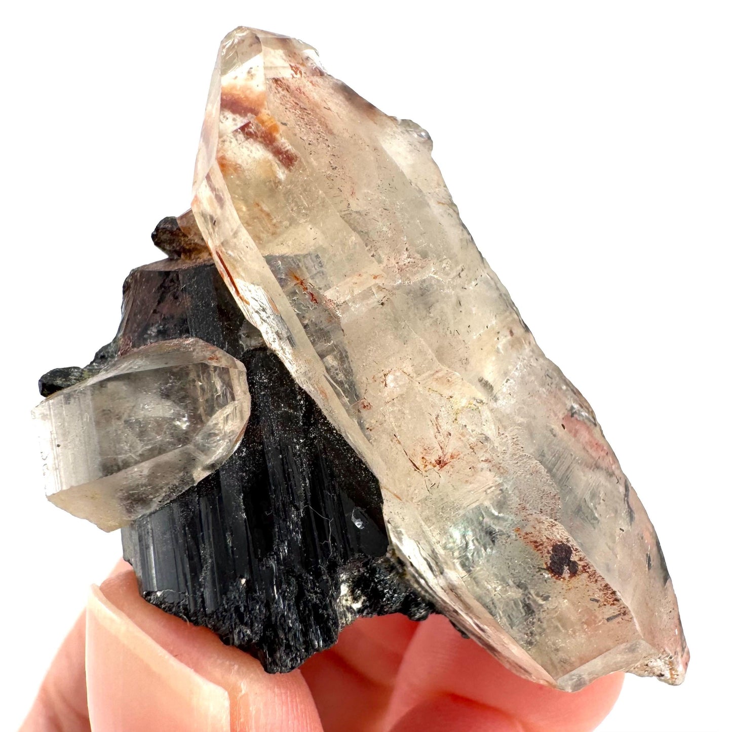 Smoky Quartz on Black Tourmaline | schorl crystal cluster, mineral specimen from Namibia
