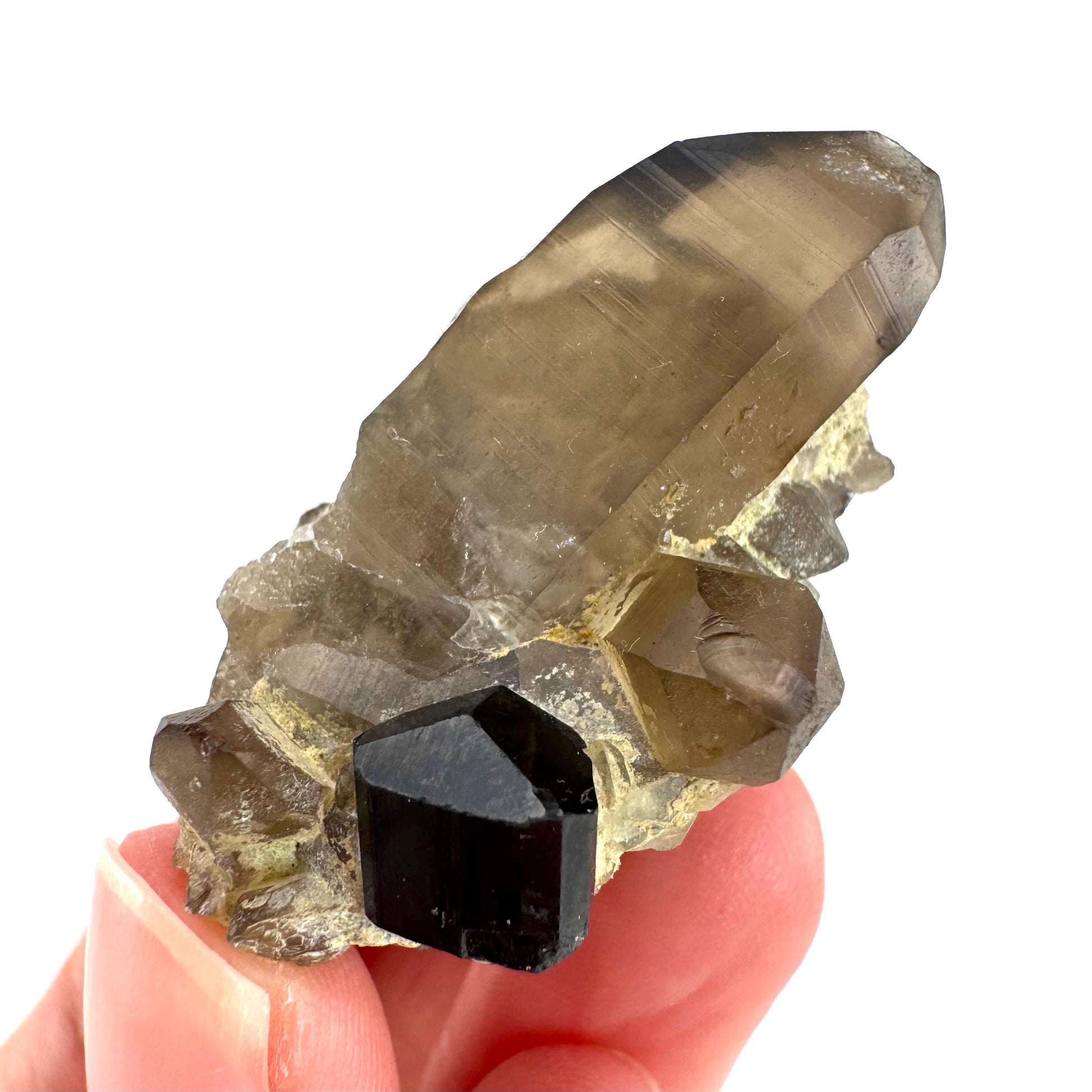 Black Tourmaline on Smoky Quartz | schorl crystal cluster, mineral specimen from Namibia