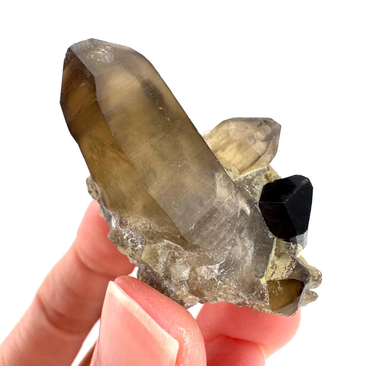 Black Tourmaline on Smoky Quartz | schorl crystal cluster, mineral specimen from Namibia