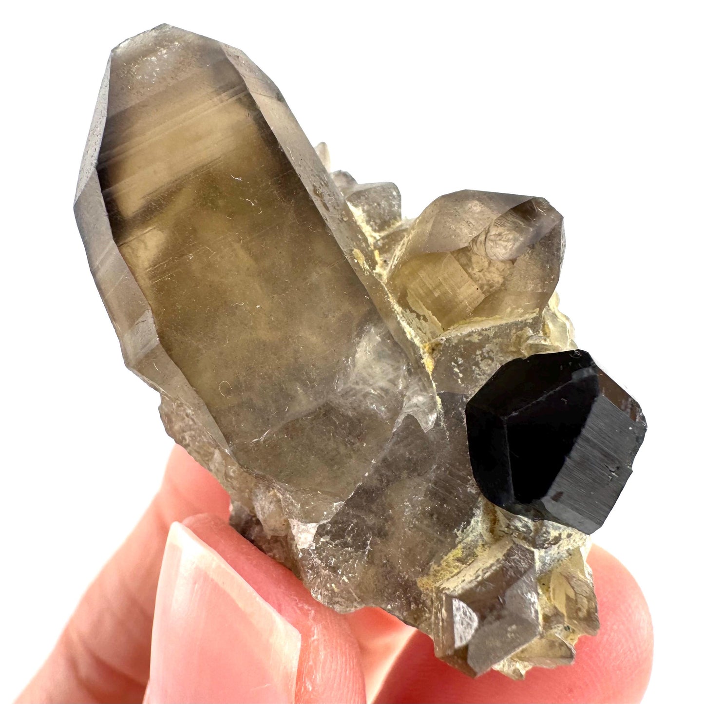 Black Tourmaline on Smoky Quartz | schorl crystal cluster, mineral specimen from Namibia