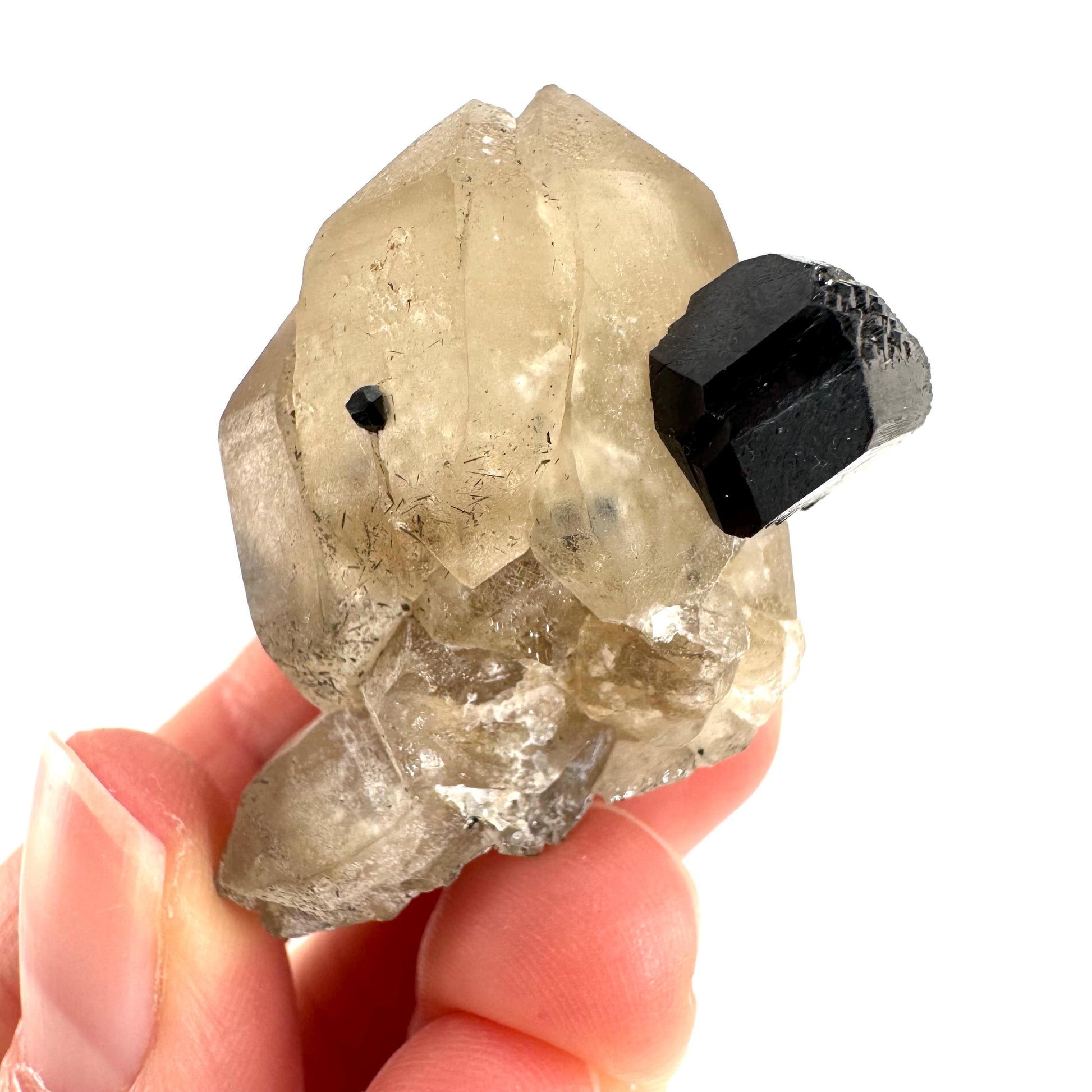 Black Tourmaline on Smoky Quartz | schorl crystal cluster, mineral specimen from Namibia