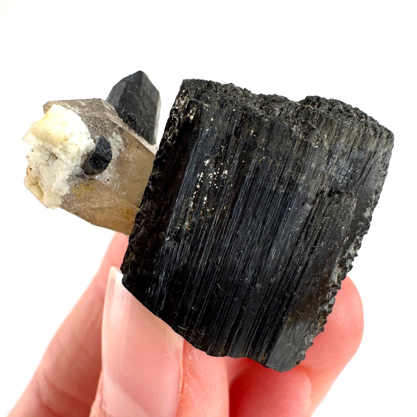 Smoky Quartz on Black Tourmaline | schorl crystal cluster, mineral specimen from Namibia