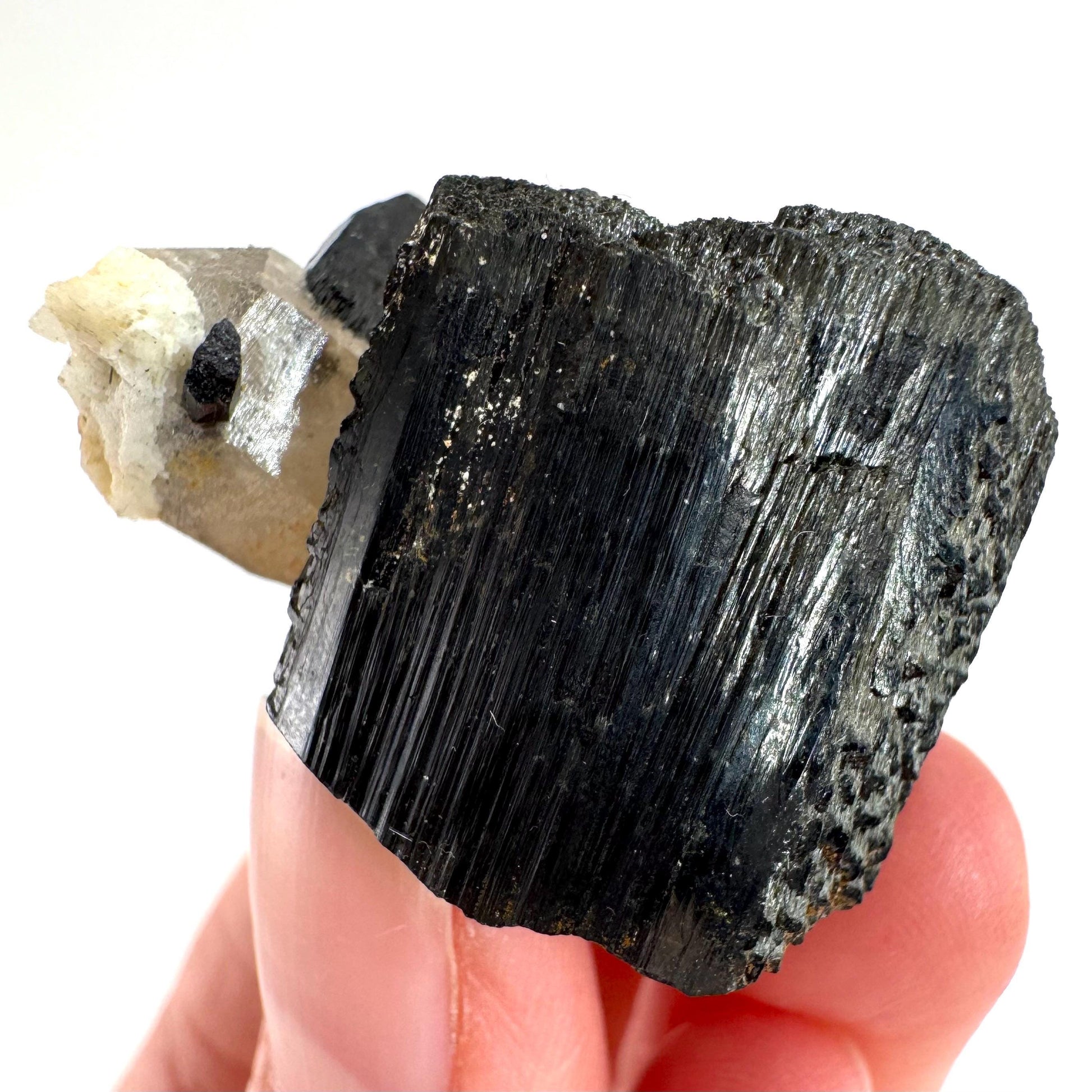 Smoky Quartz on Black Tourmaline | schorl crystal cluster, mineral specimen from Namibia