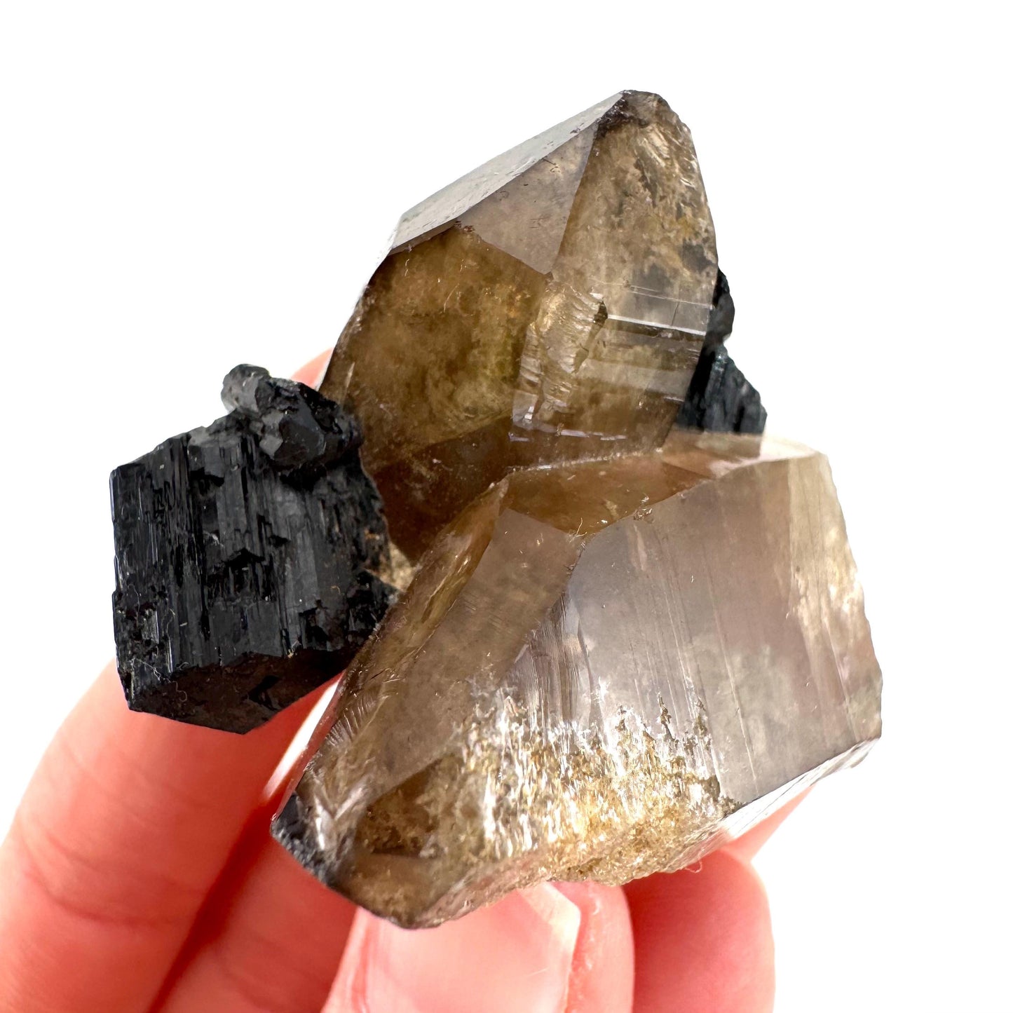 Black Tourmaline on Smoky Quartz | schorl crystal cluster, mineral specimen from Namibia