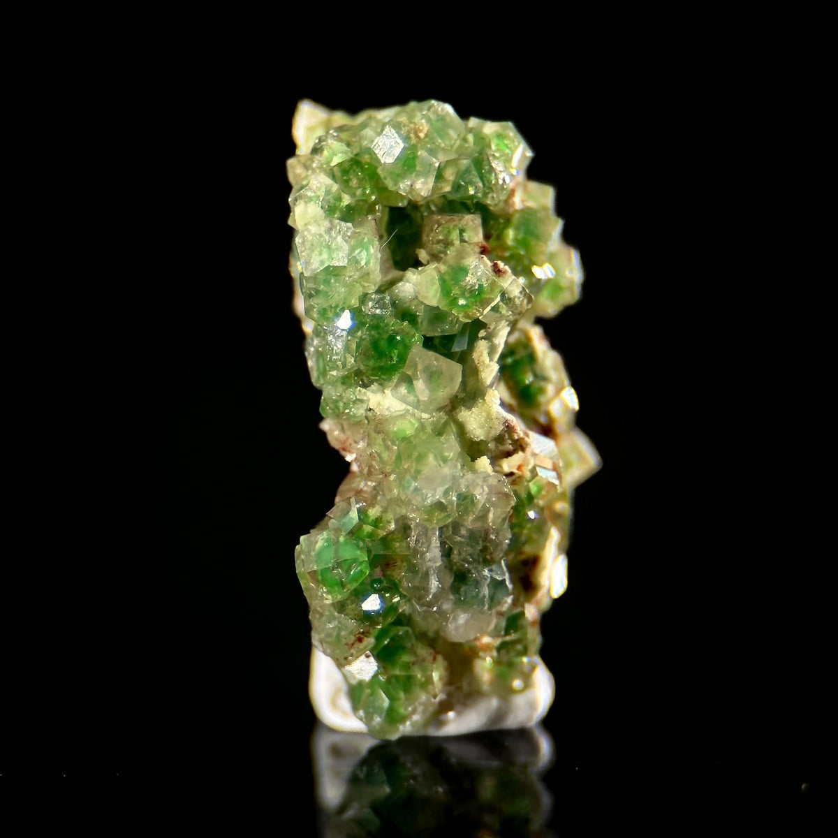 Frog Egg Garnet | green chrome grossular crystal, natural mineral specimen from Canada