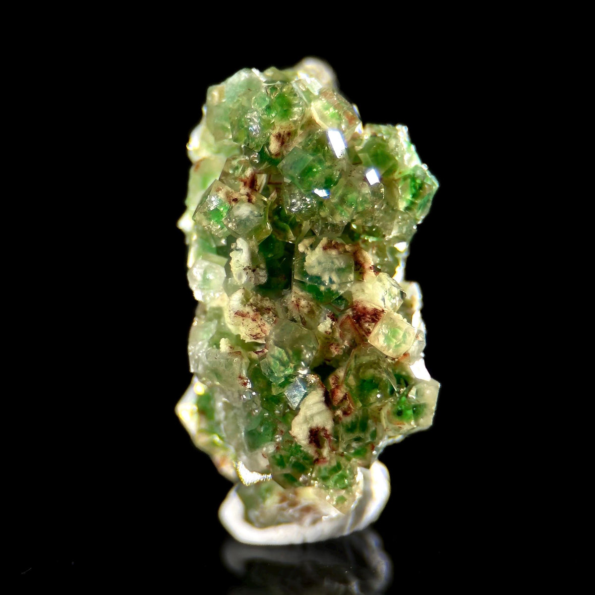 Frog Egg Garnet | green chrome grossular crystal, natural mineral specimen from Canada