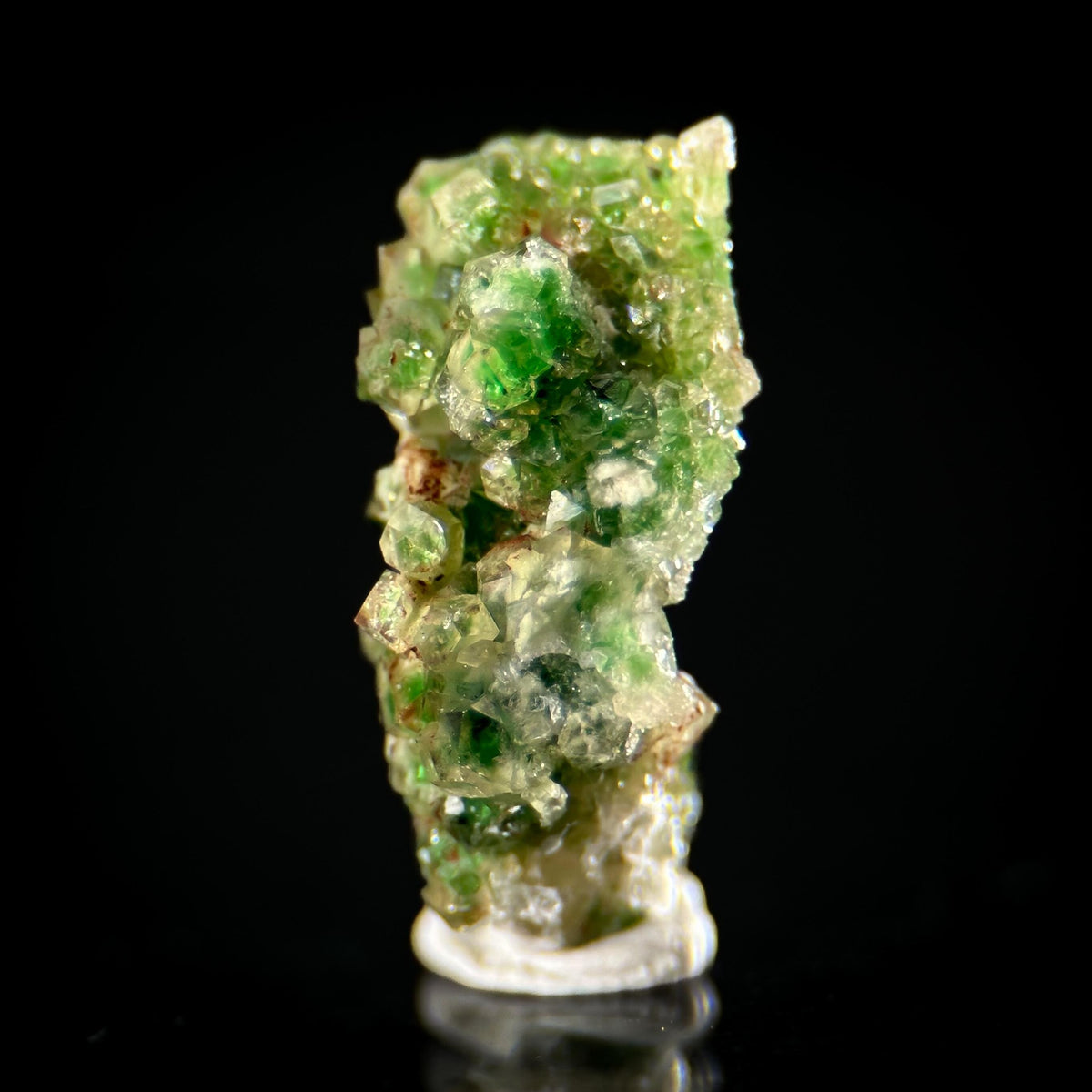 Frog Egg Garnet | green chrome grossular crystal, natural mineral specimen from Canada