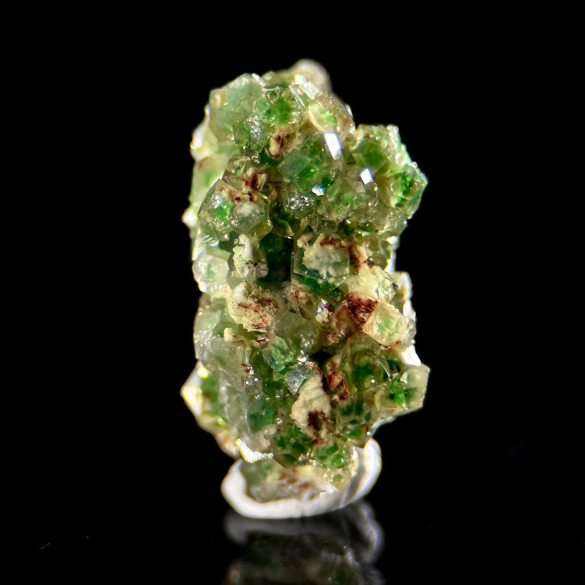 Frog Egg Garnet | green chrome grossular crystal, natural mineral specimen from Canada
