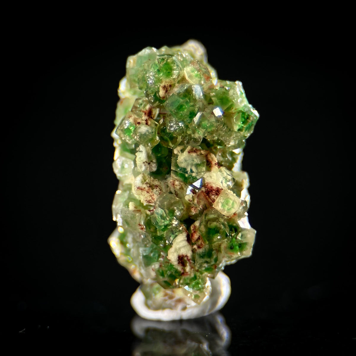 Frog Egg Garnet | green chrome grossular crystal, natural mineral specimen from Canada