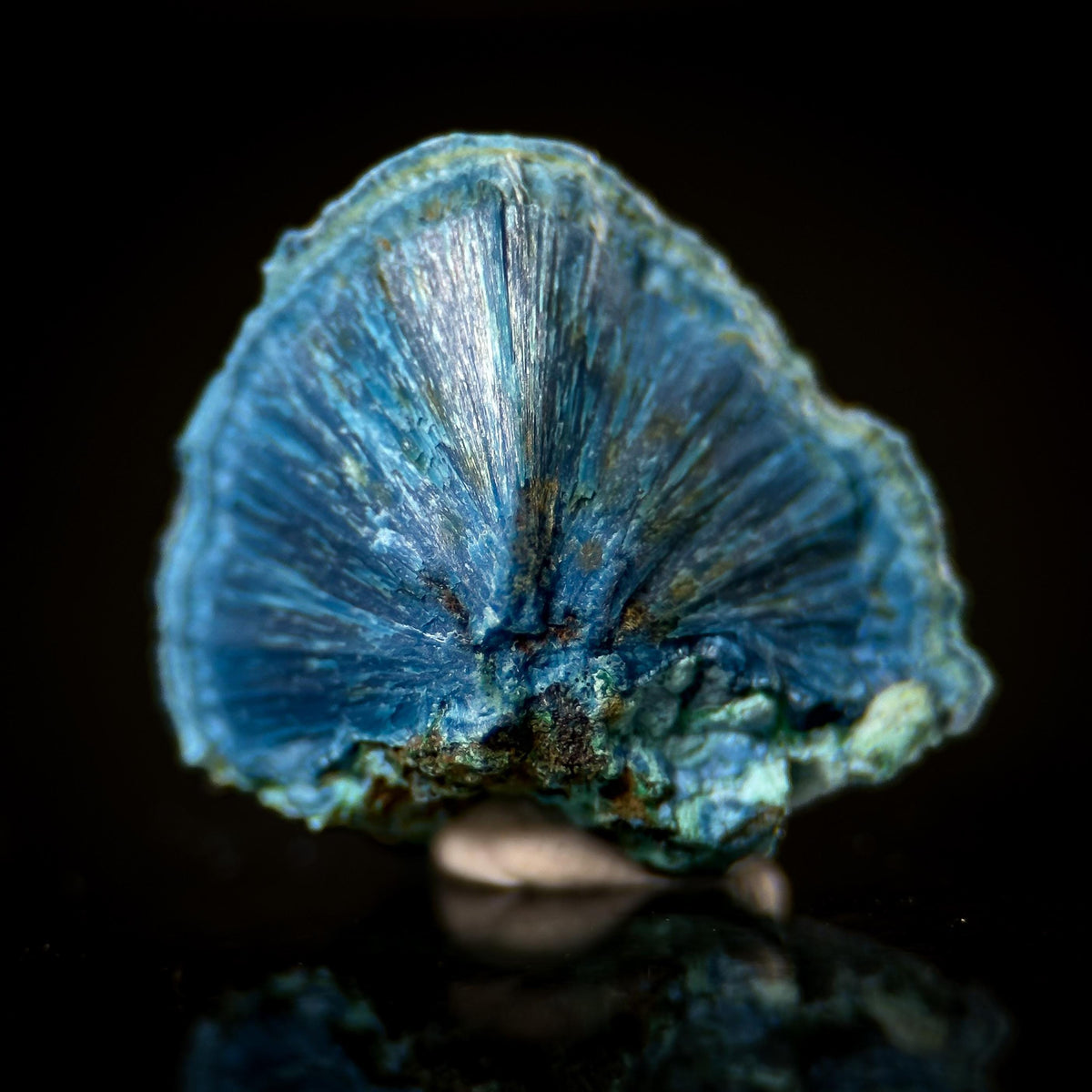 Fibrous Shattuckite | Blue Crystal, Mineral Specimen from DR Congo
