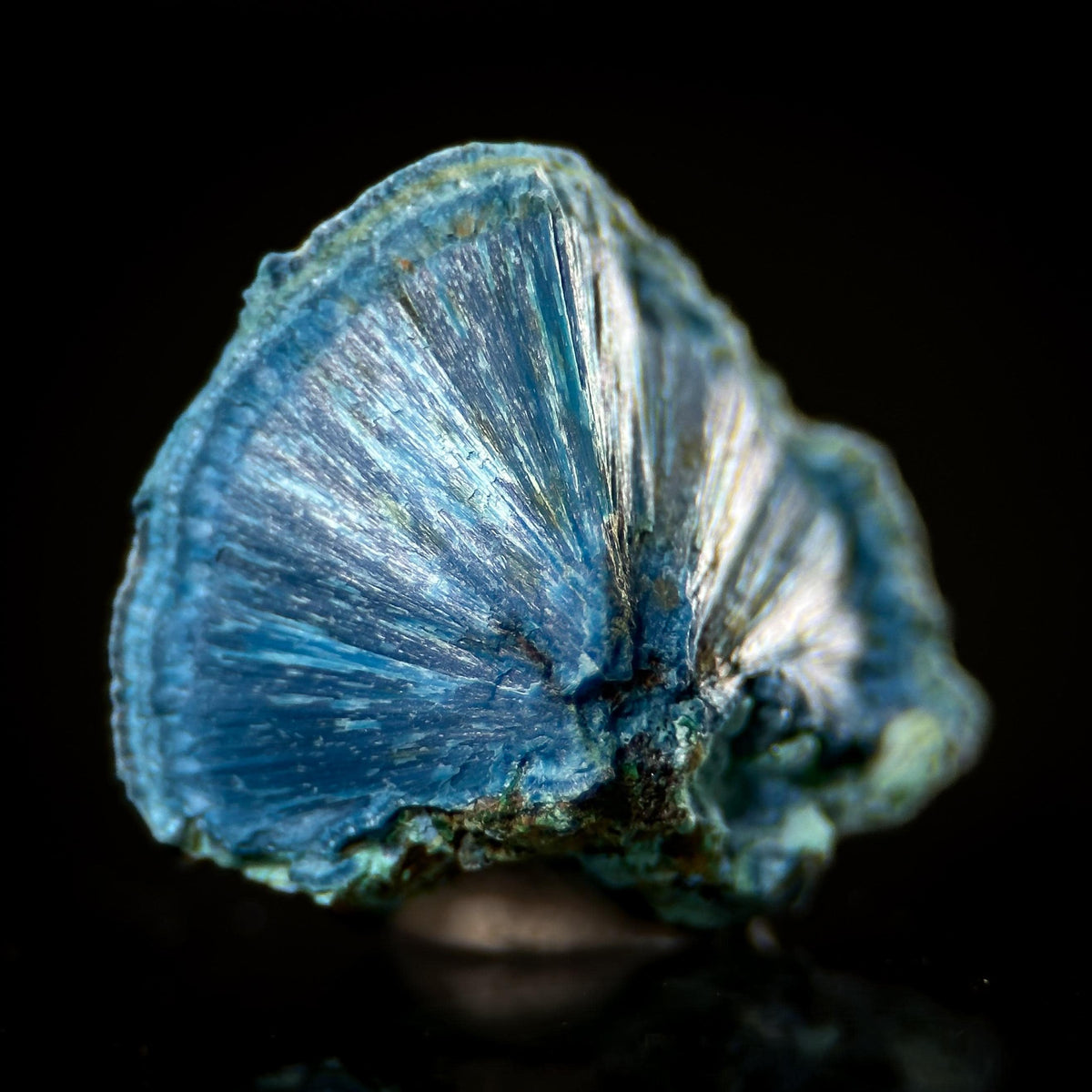 Fibrous Shattuckite | Blue Crystal, Mineral Specimen from DR Congo