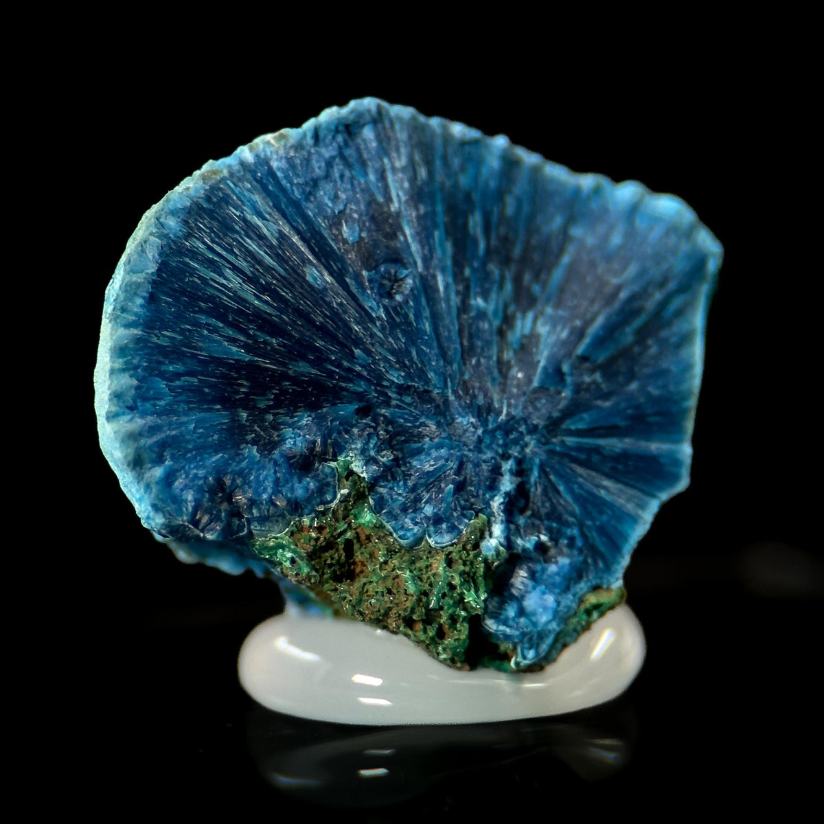 Fibrous Shattuckite | Blue Crystal, Mineral Specimen from DR Congo