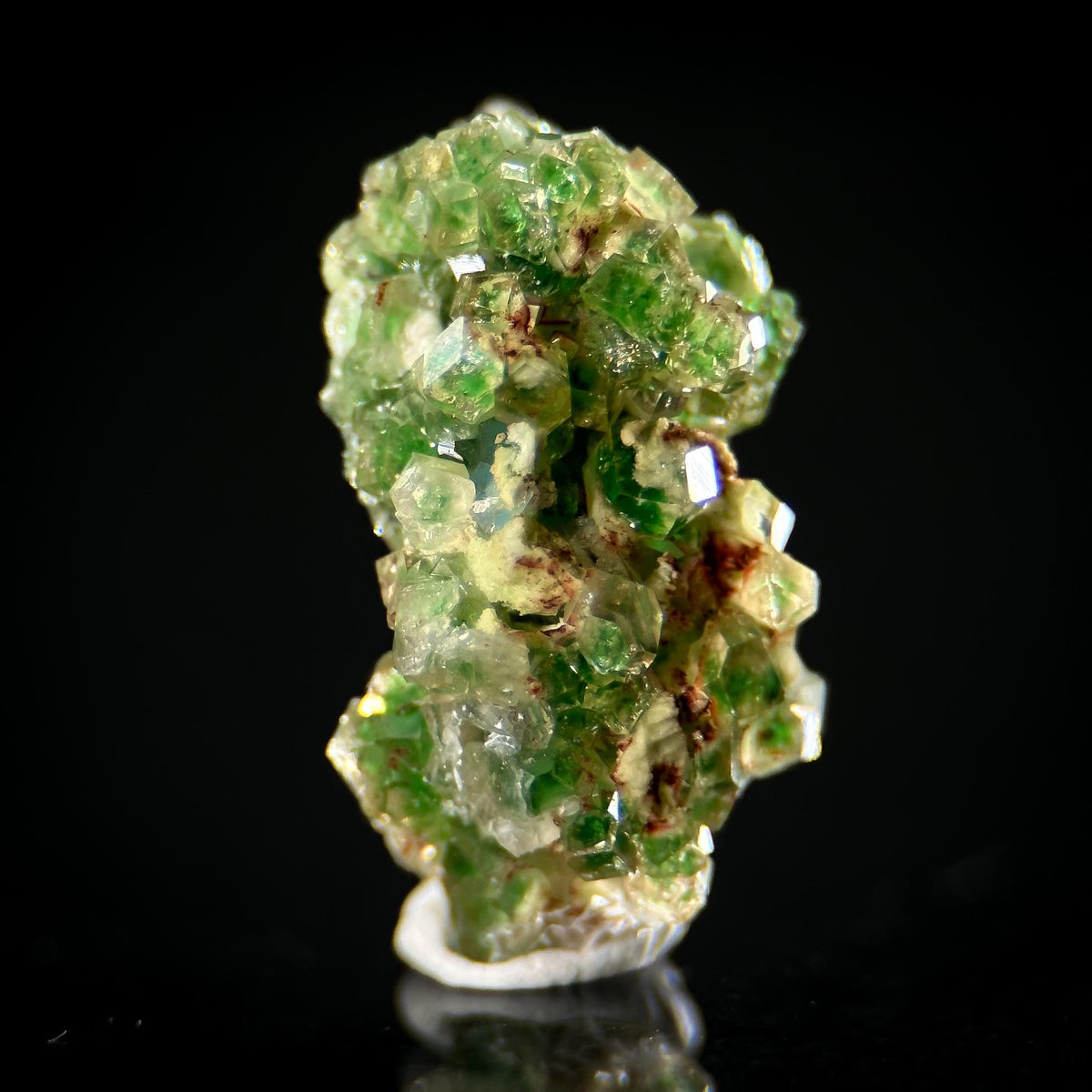 Frog Egg Garnet | green chrome grossular crystal, natural mineral specimen from Canada