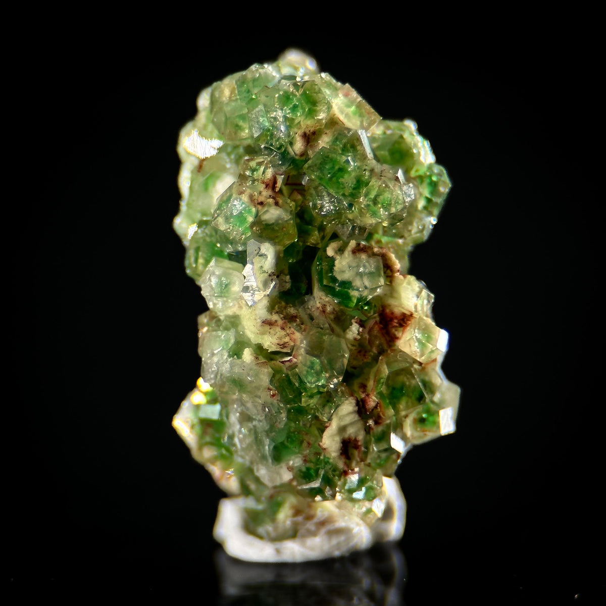 Frog Egg Garnet | green chrome grossular crystal, natural mineral specimen from Canada