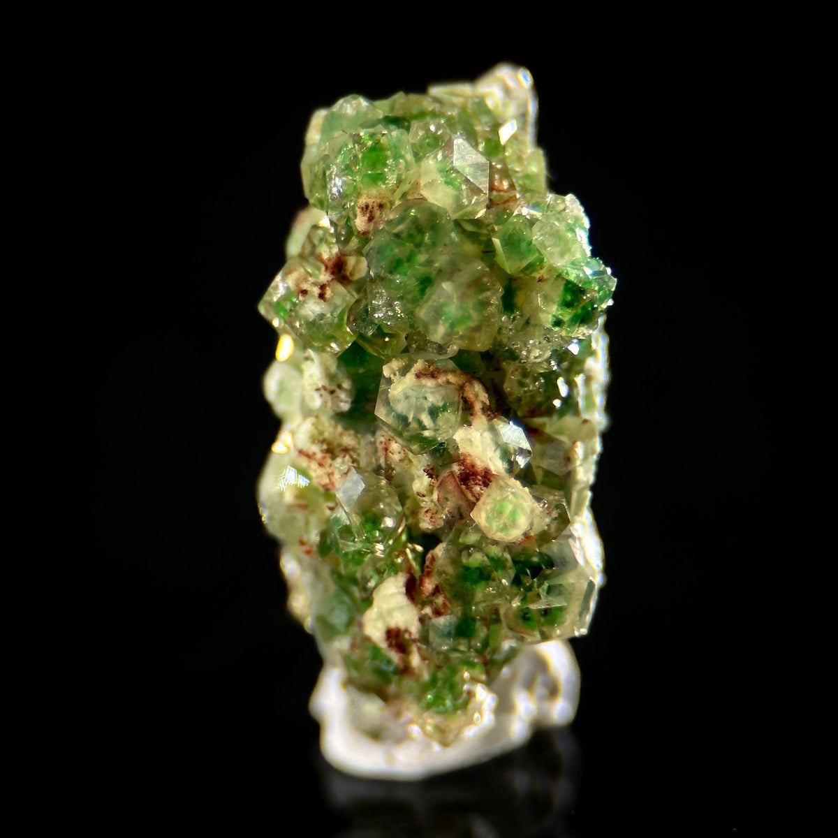 Frog Egg Garnet | green chrome grossular crystal, natural mineral specimen from Canada