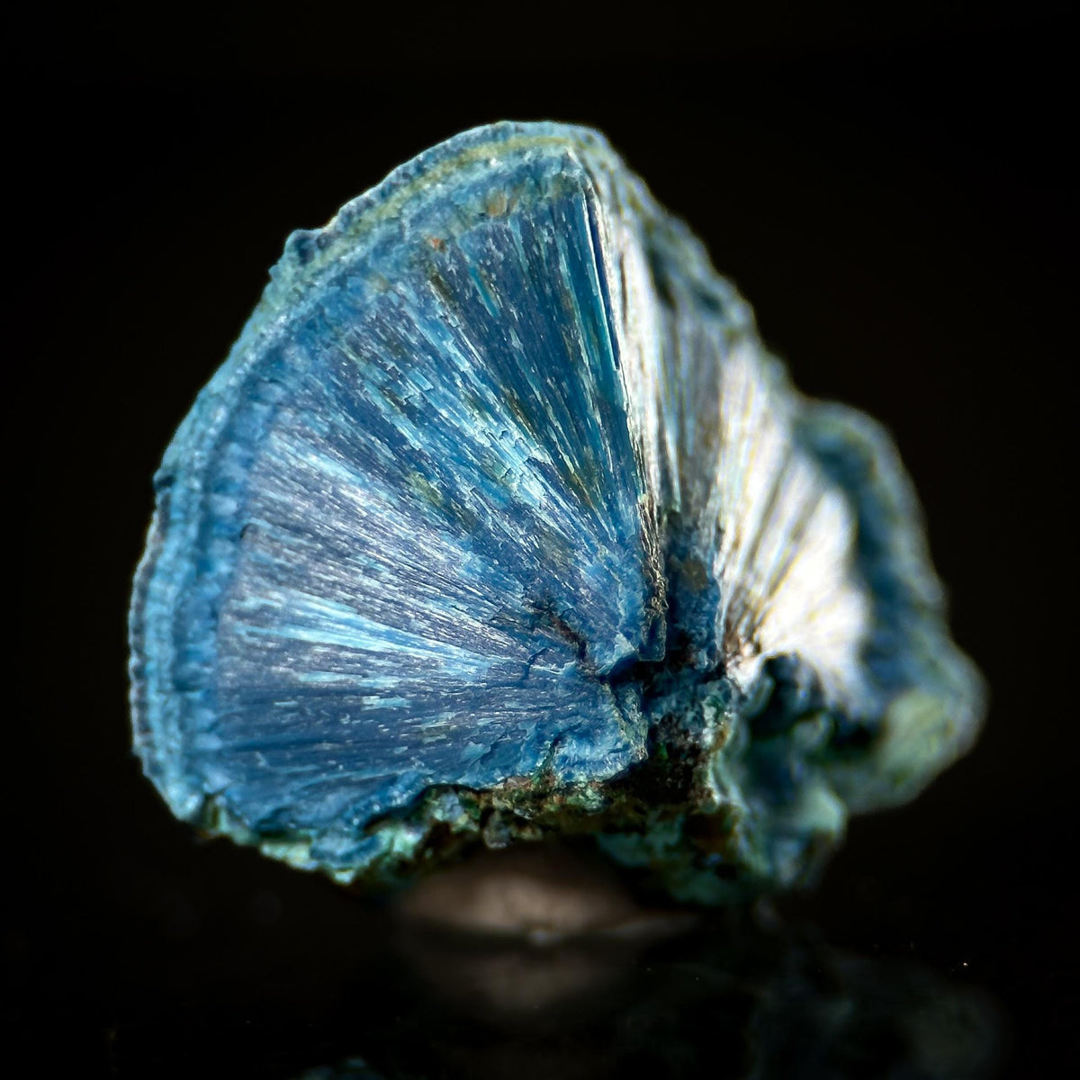 Fibrous Shattuckite | Blue Crystal, Mineral Specimen from DR Congo
