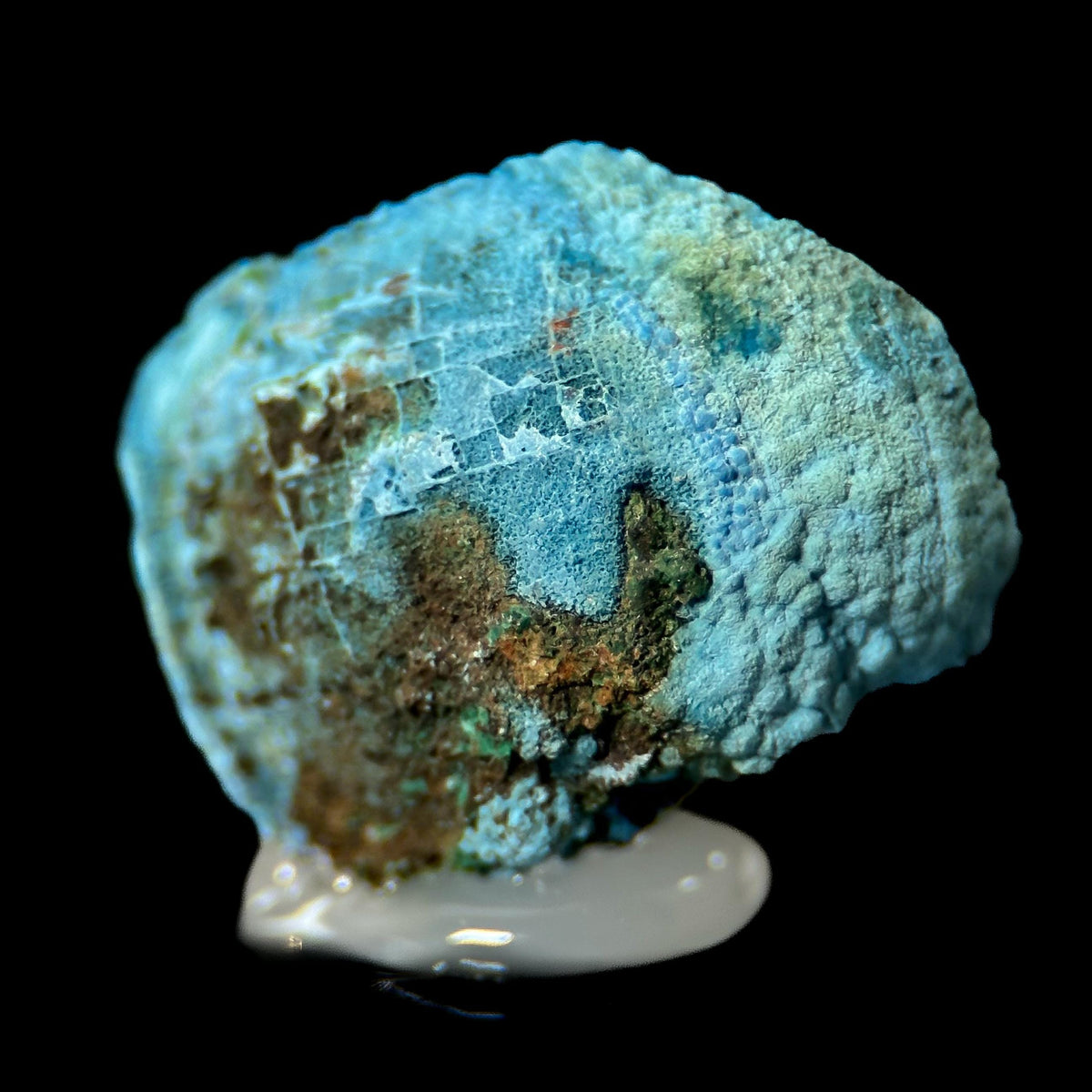Fibrous Shattuckite | Blue Crystal, Mineral Specimen from DR Congo