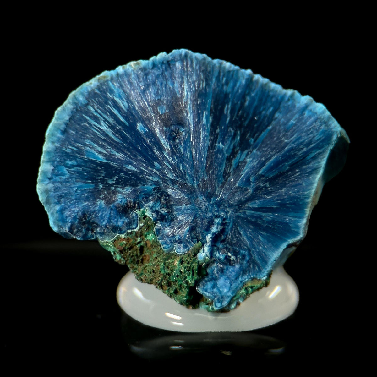 Fibrous Shattuckite | Blue Crystal, Mineral Specimen from DR Congo