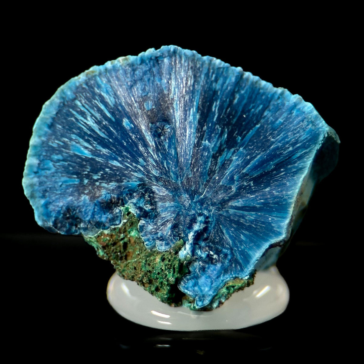 Fibrous Shattuckite | Blue Crystal, Mineral Specimen from DR Congo
