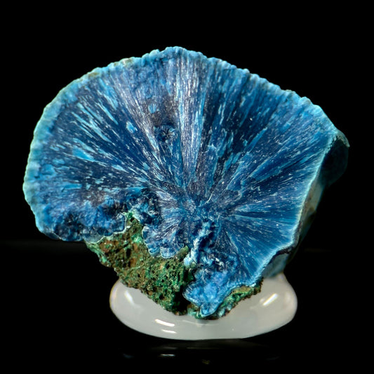 Fibrous Shattuckite | Blue Crystal, Mineral Specimen from DR Congo