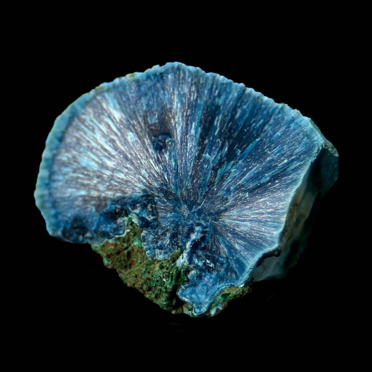 Fibrous Shattuckite | Blue Crystal, Mineral Specimen from DR Congo