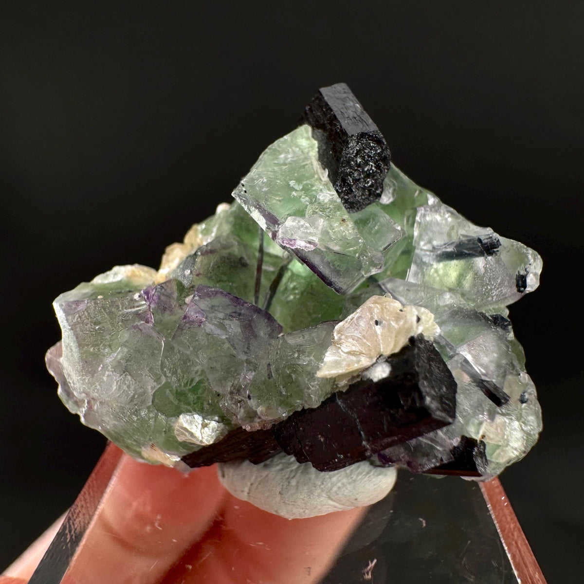 Fluorite w/ Schorl, & Muscovite | Lollipop Pocket, green crystal, mineral specimen from Namibia
