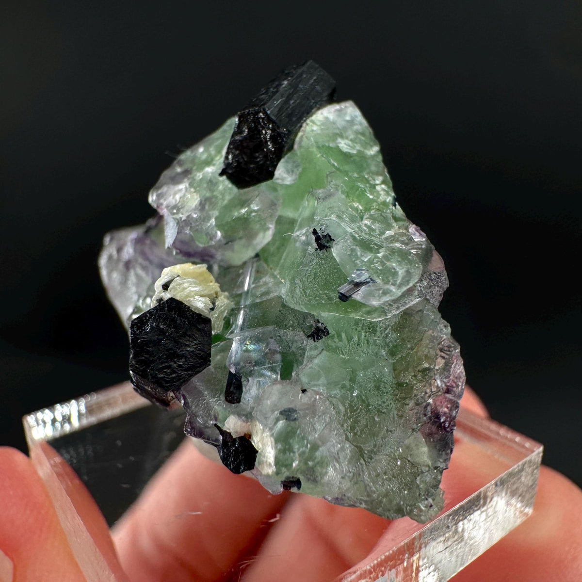 Fluorite w/ Schorl, & Muscovite | Lollipop Pocket, green crystal, mineral specimen from Namibia