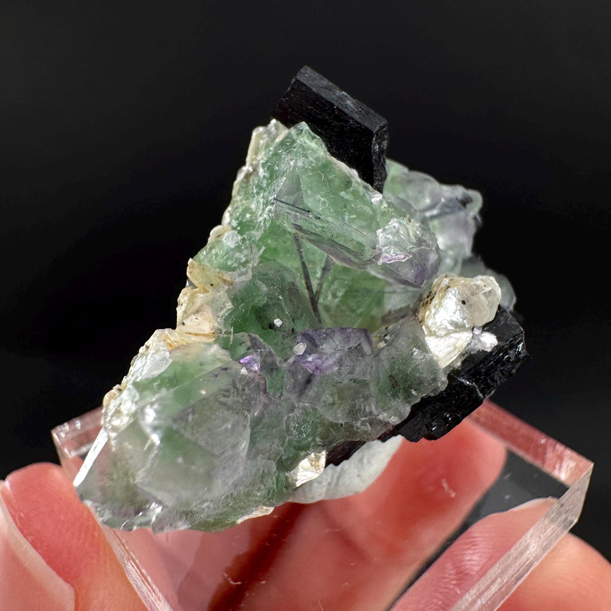 Fluorite w/ Schorl, & Muscovite | Lollipop Pocket, green crystal, mineral specimen from Namibia