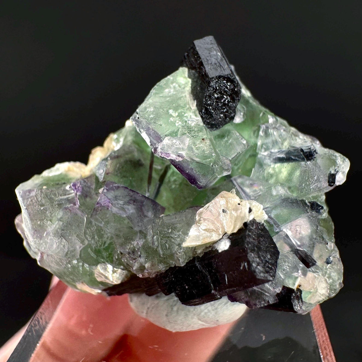 Fluorite w/ Schorl, & Muscovite | Lollipop Pocket, green crystal, mineral specimen from Namibia
