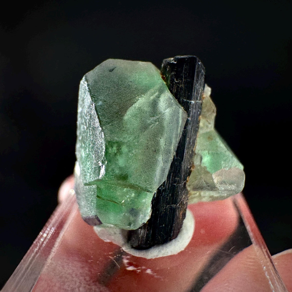Fluorite w/ Black Tourmaline | Lollipop Pocket, green crystal, mineral specimen from Namibia