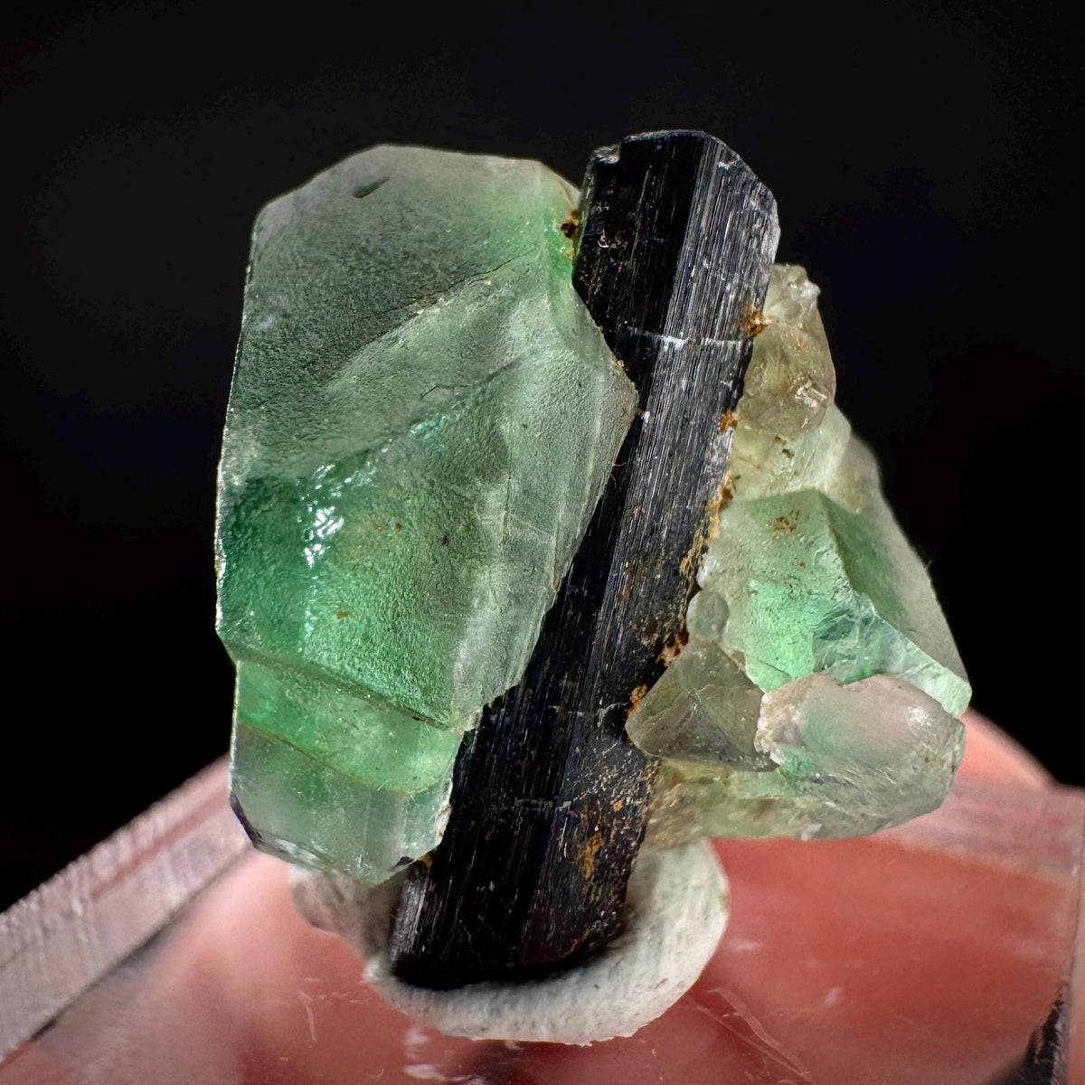 Fluorite w/ Black Tourmaline | Lollipop Pocket, green crystal, mineral specimen from Namibia
